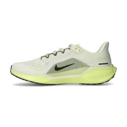 Pegasus 41