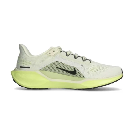 Pegasus 41